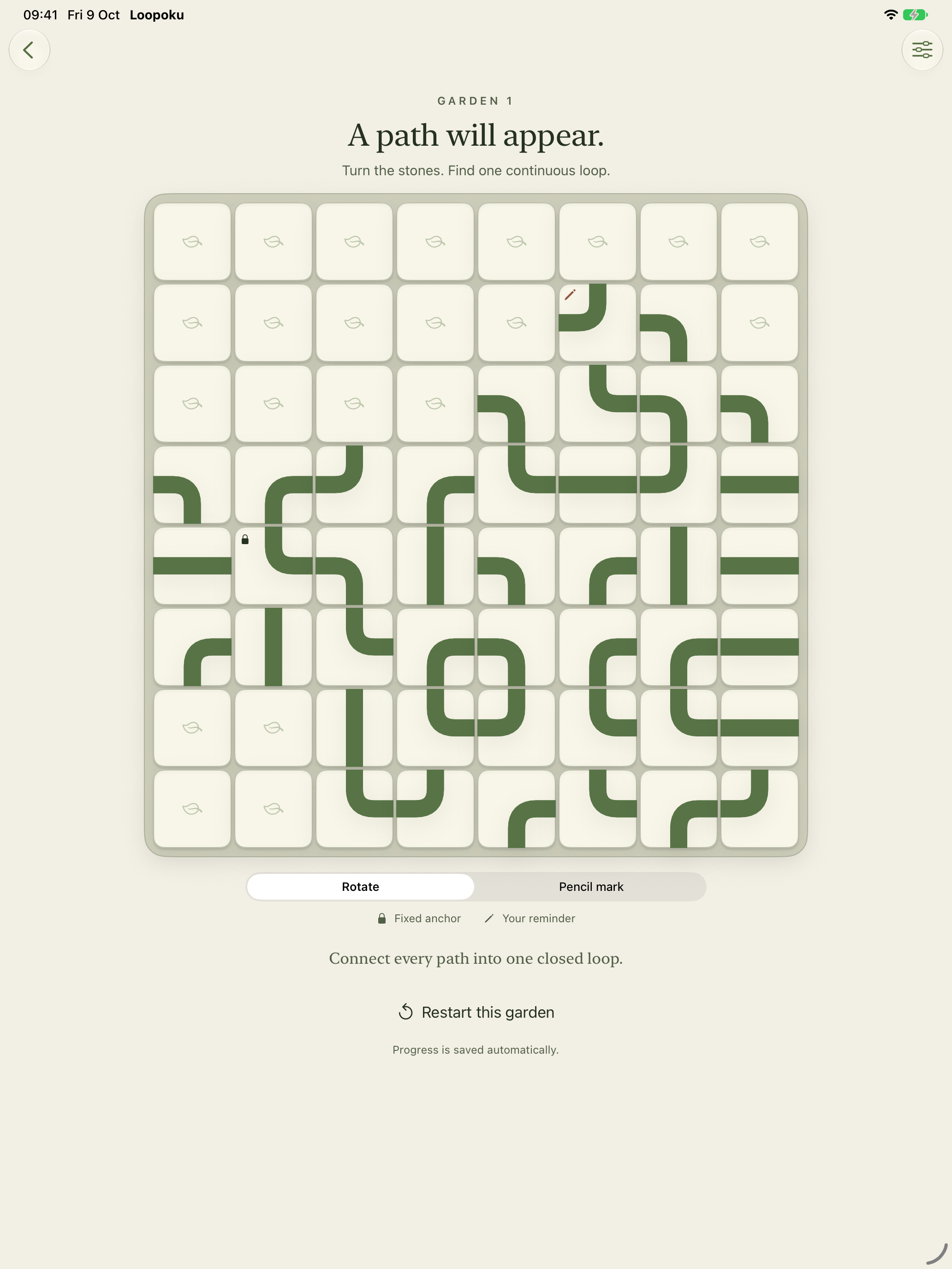 Loopoku native gameplay on iPad